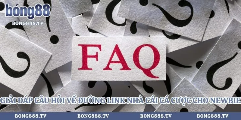 Giải đáp câu hỏi về đường link nhà cái cá cược cho newbie