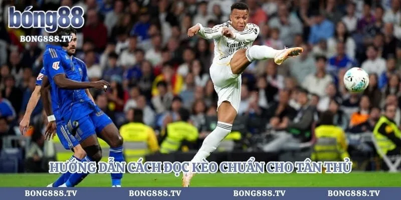 Kèo Tài Xỉu - Hướng Dẫn Soi Tỷ Lệ Bóng Đá 100% Thắng Hình số 3 tại sungaibunus.my Hướng dẫn cách đọc kèo chuẩn cho tân thủ
