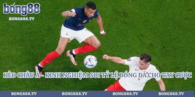 Kèo Châu Á - Kinh Nghiệm Soi Tỷ Lệ Bóng Đá Cho Tay Cược Hình số 8 tại sungaibunus.my Kèo Châu Á - Kinh Nghiệm Soi Tỷ Lệ Bóng Đá Cho Tay Cược