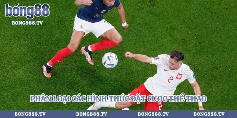 Kèo nhà cái Hình số 2 tại sungaibunus.my Phân loại các hình thức đặt cược thể thao